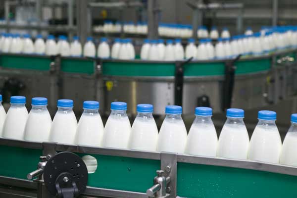 dairy